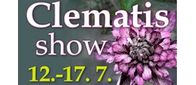 letak_clematis_m.jpg